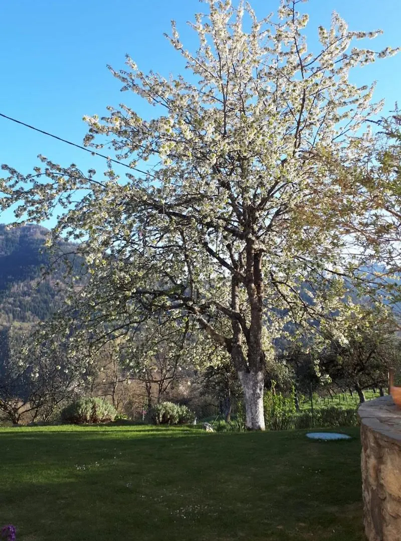 Apartment Gite Le Pre De Lamia Chevenoz